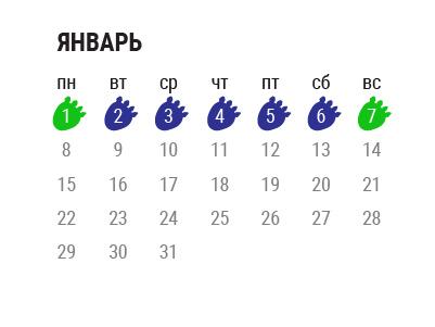 График работы StoVesta на Январь 2018