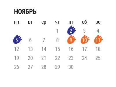 График работы StoVesta на Ноябрь 2018